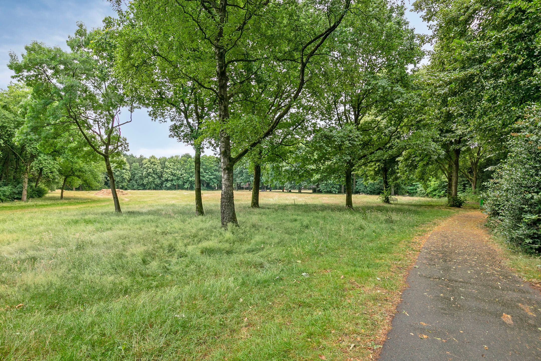 Photo 36 of Van Anrooijstraat 96