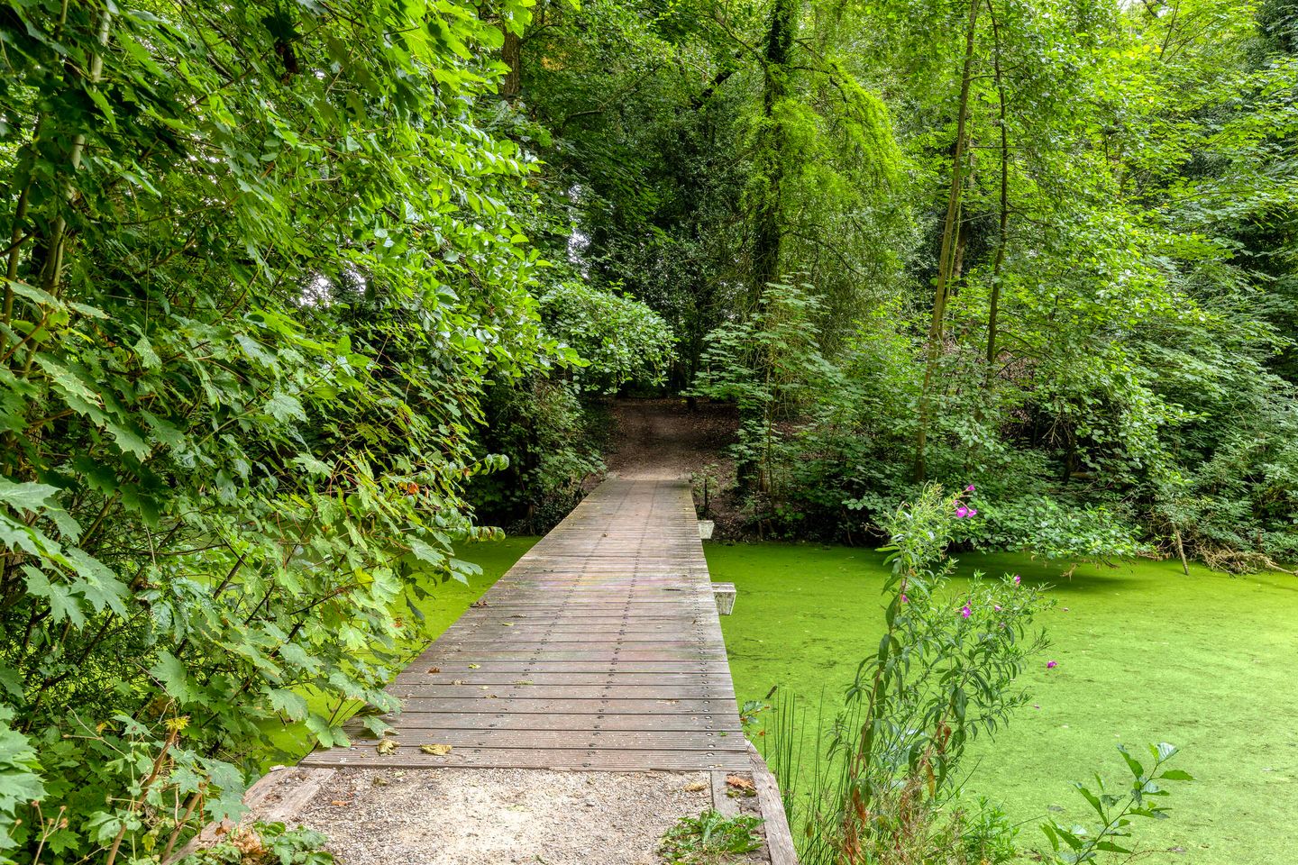 Foto 34 van Hereweg 97-10