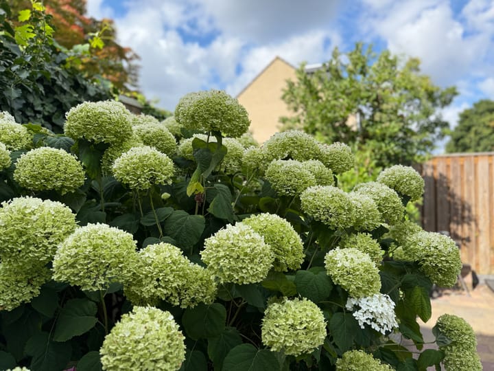 Foto 14 van Van Beethovenlaan 133