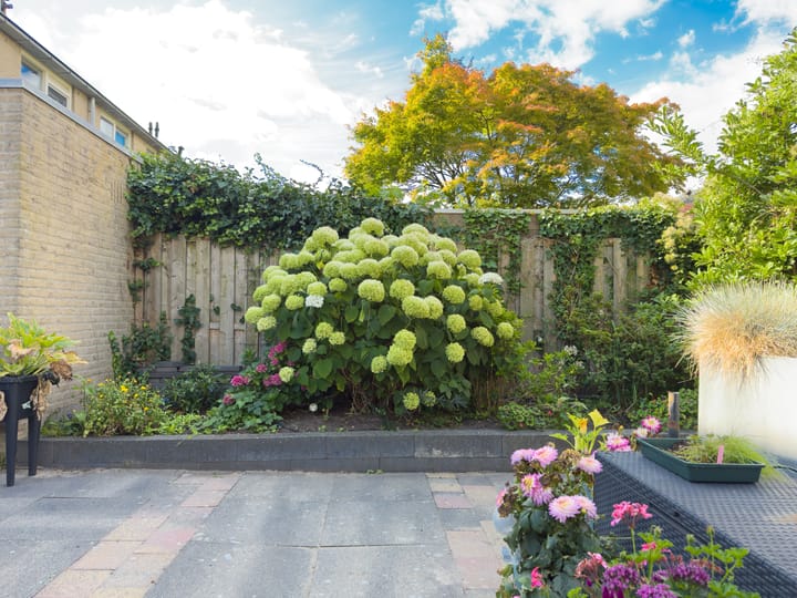 Foto 17 van Van Beethovenlaan 133