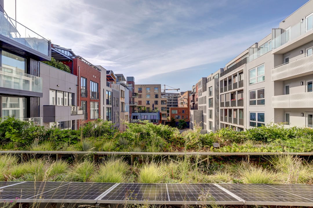 Photo 31 of Nieuwe Gracht 17