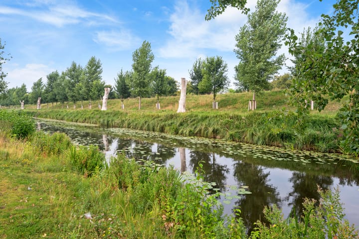 Photo 5 of Graan voor Visch 14902