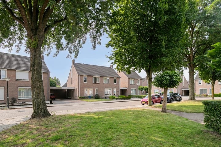 Foto 26 van De Boomklever 55