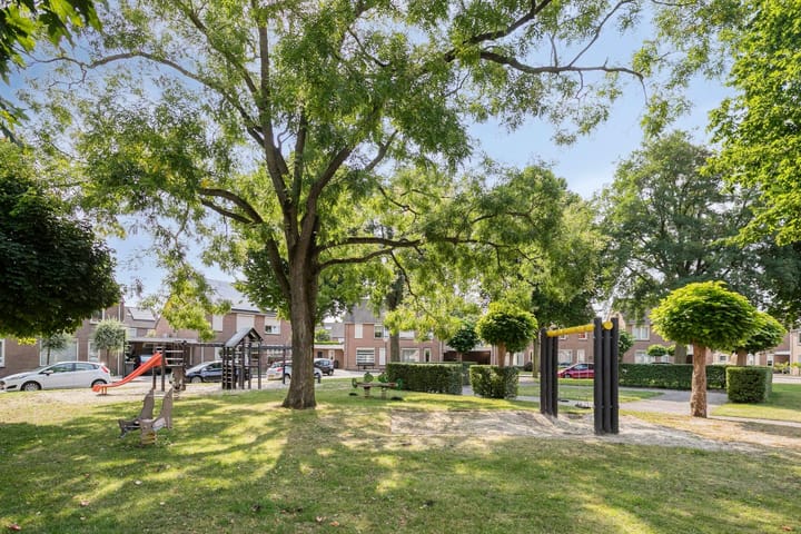 Foto 27 van De Boomklever 55