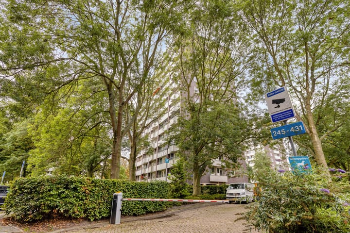 Foto 7 van Roggekamp 273