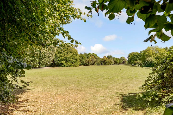 Foto 71 van Trombonestraat 32