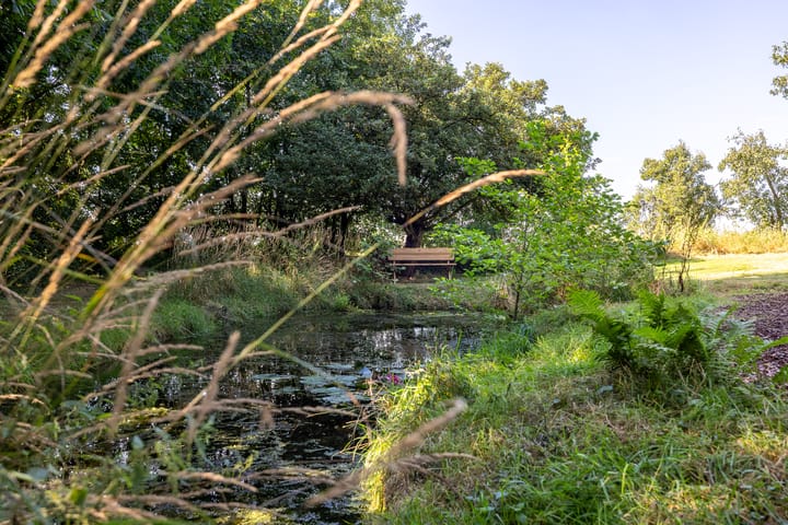Photo 75 of Breedenbroekseweg 3