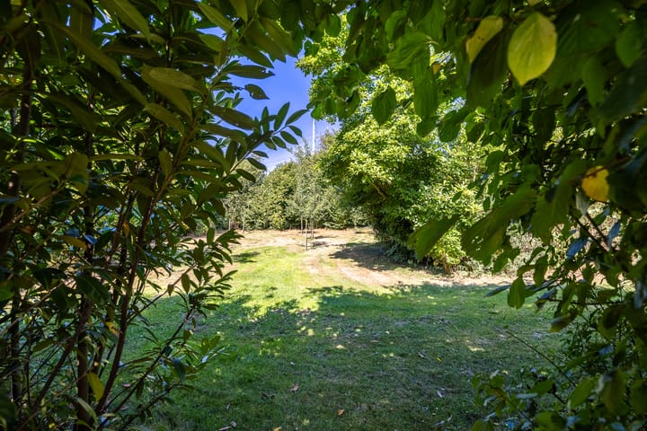 Photo 89 of Breedenbroekseweg 3