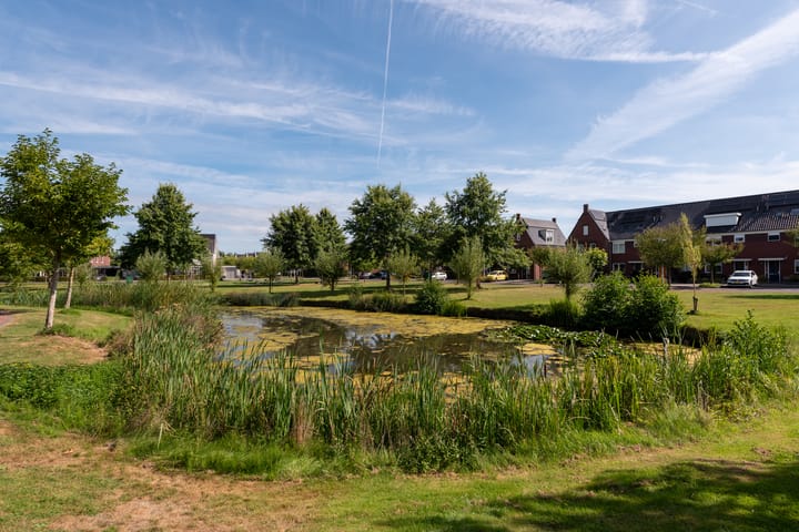 Photo 55 of Rozensingel 29