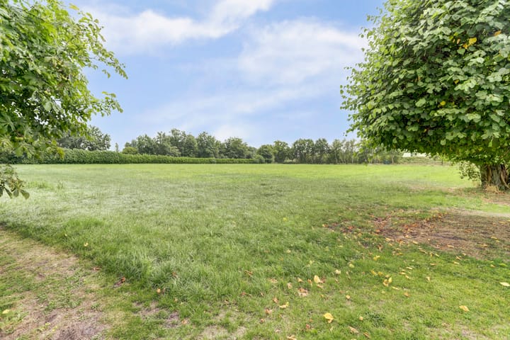 Foto 50 van Schaanstraat 9