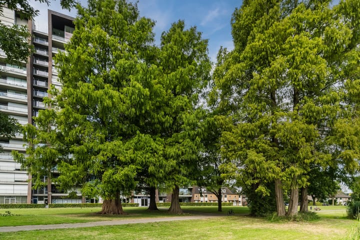 Foto 40 van Midaslaan 25