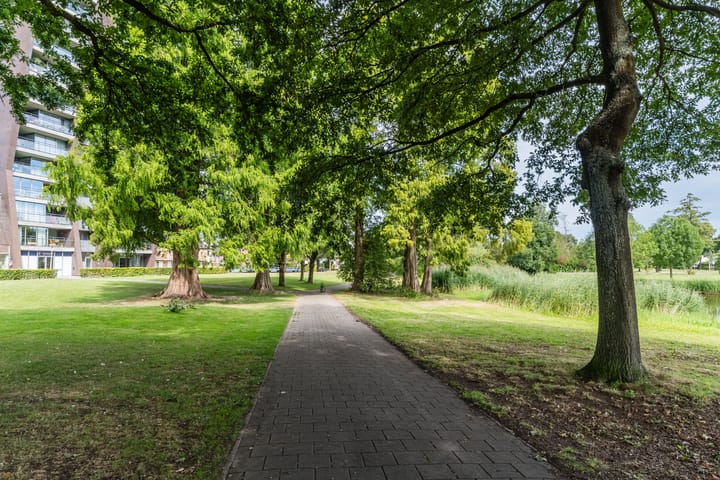 Foto 41 van Midaslaan 25