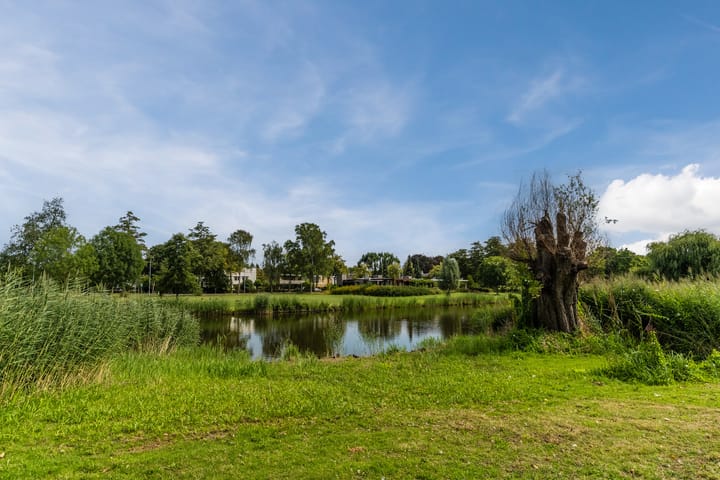 Foto 42 van Midaslaan 25