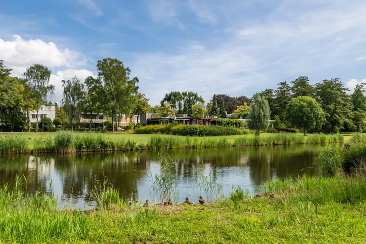 Foto 43 van Midaslaan 25