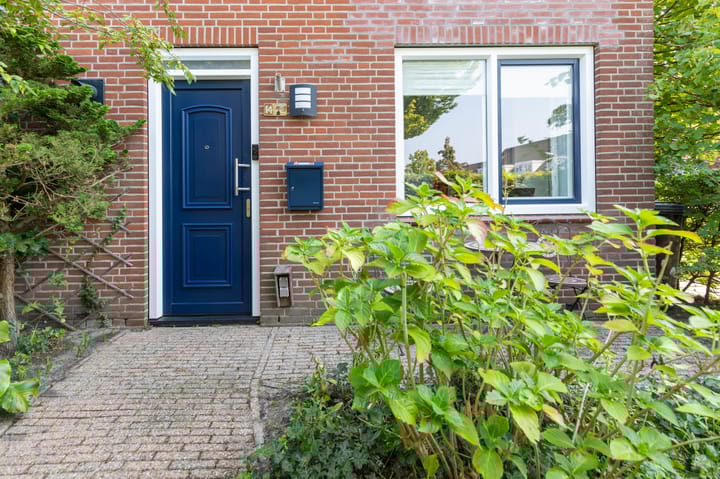 Foto 7 van Dotterbloem 14