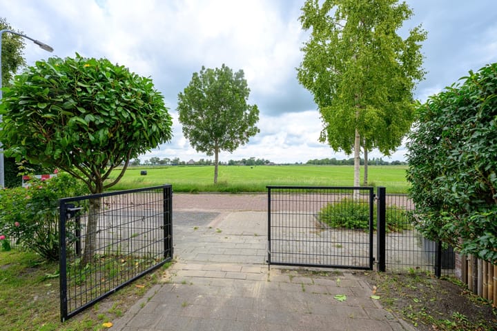 Foto 4 van Citroengras 17