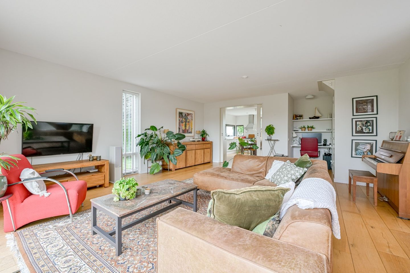 Foto 5 van Citroengras 17