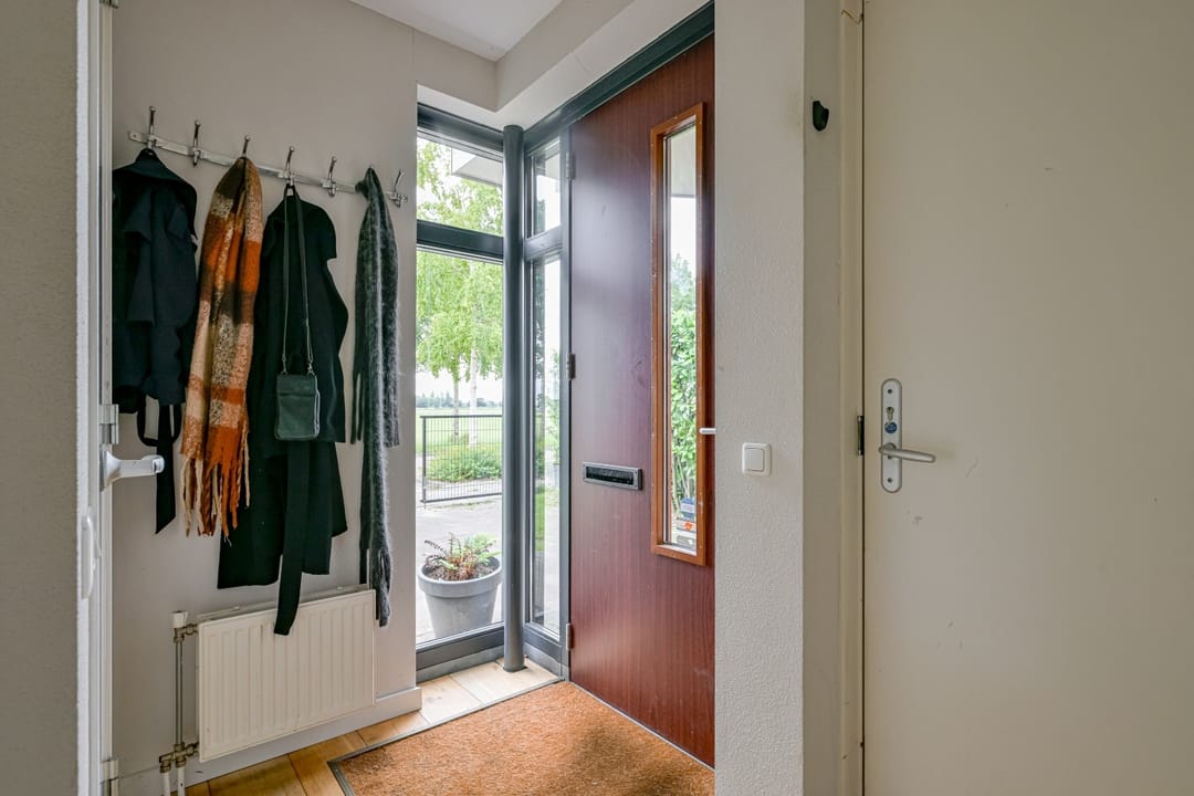 Foto 8 van Citroengras 17