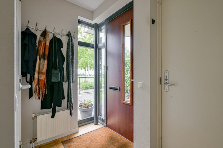 Foto 8 van Citroengras 17