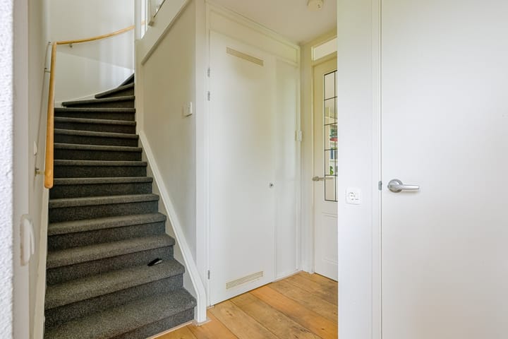 Foto 9 van Citroengras 17