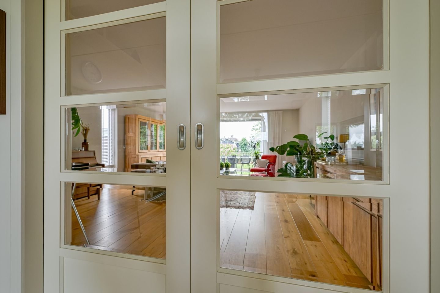 Foto 10 van Citroengras 17