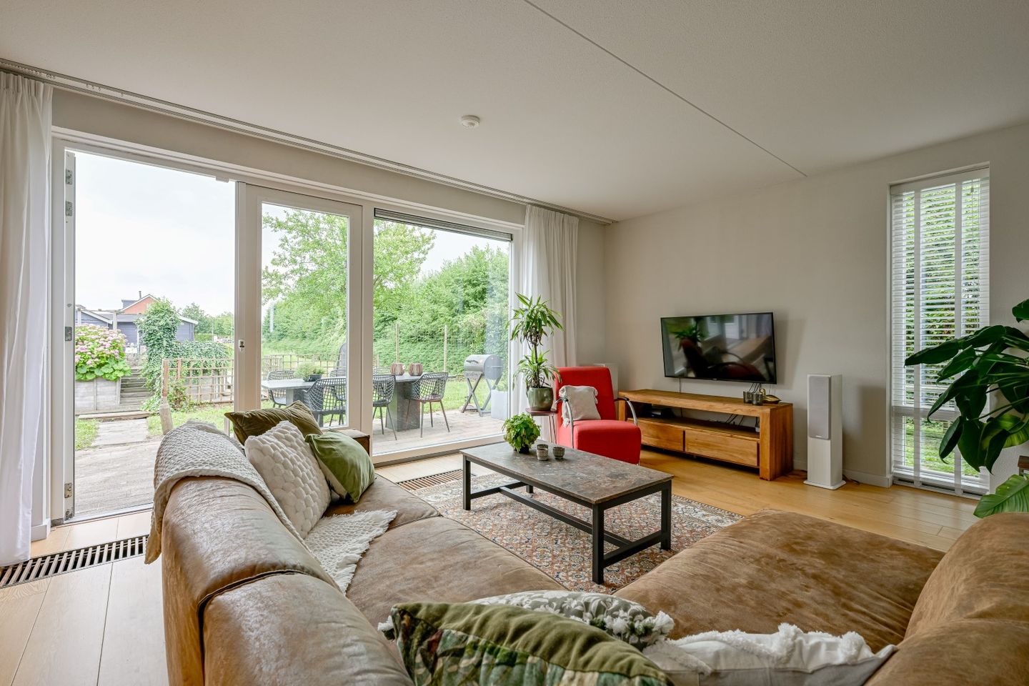 Foto 14 van Citroengras 17