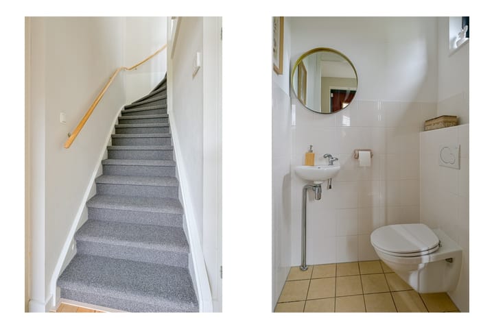 Foto 21 van Citroengras 17