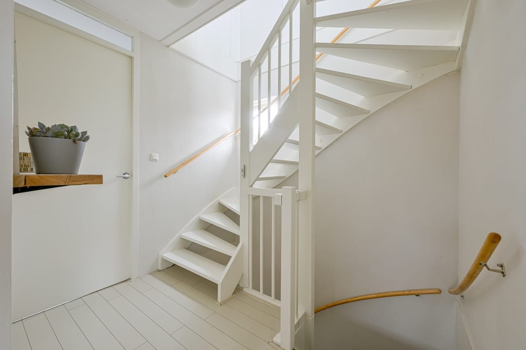 Foto 22 van Citroengras 17