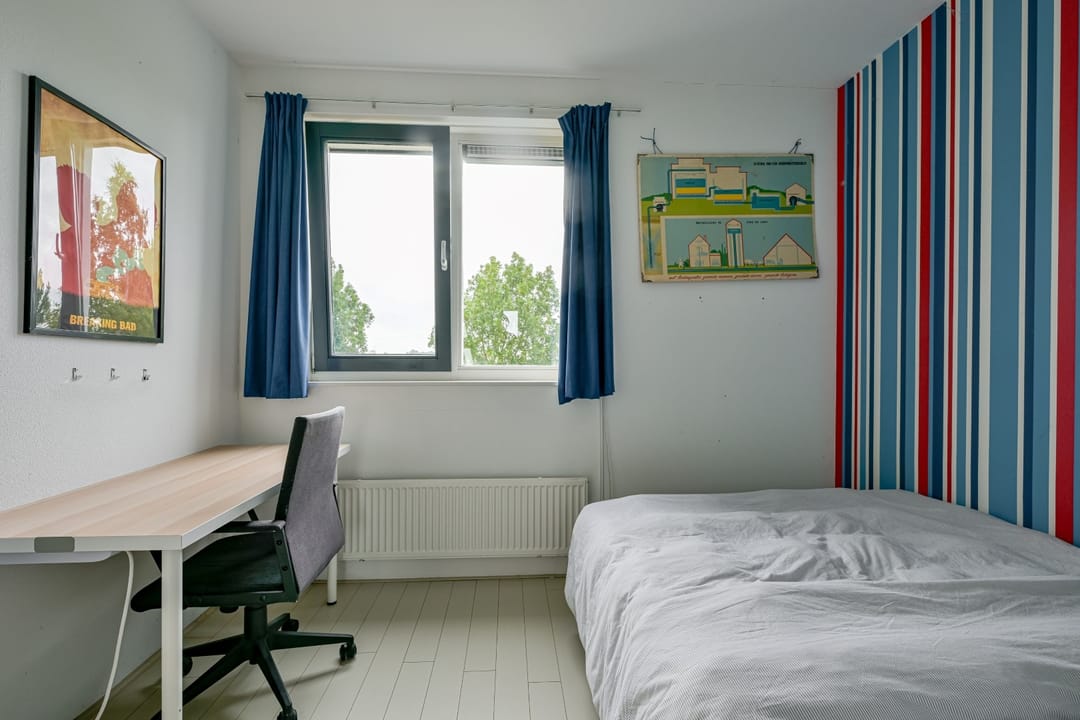 Foto 26 van Citroengras 17