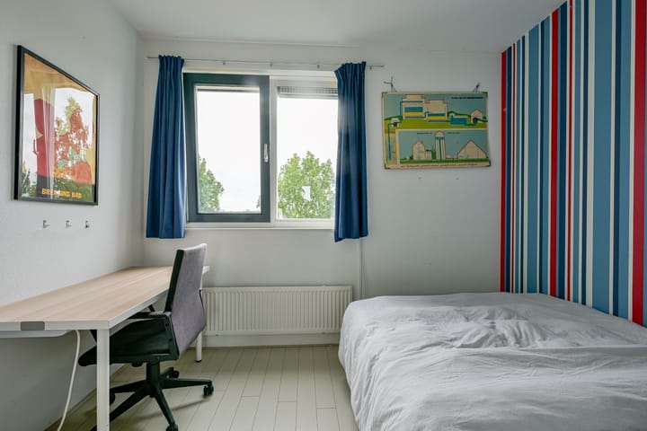 Foto 26 van Citroengras 17