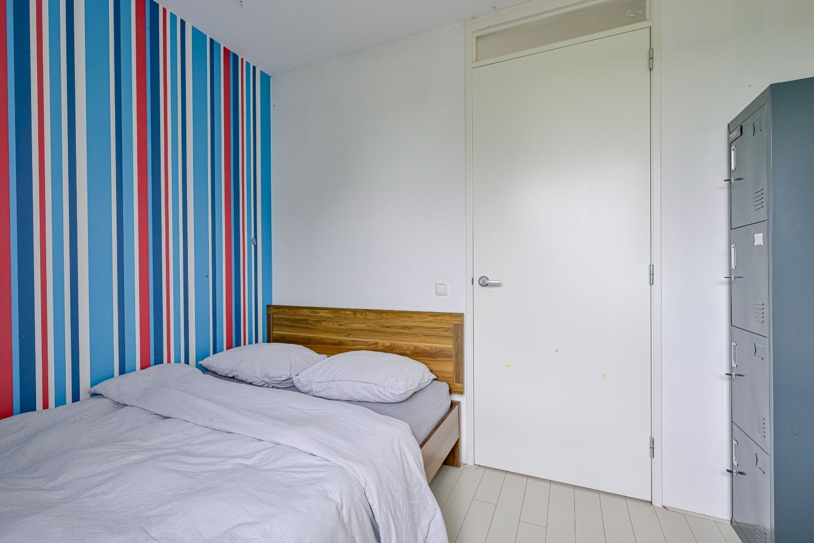 Foto 27 van Citroengras 17