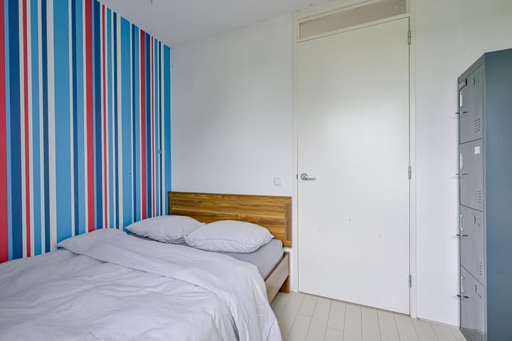 Foto 27 van Citroengras 17