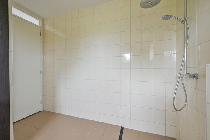 Foto 30 van Citroengras 17