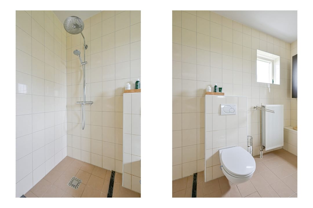 Foto 31 van Citroengras 17