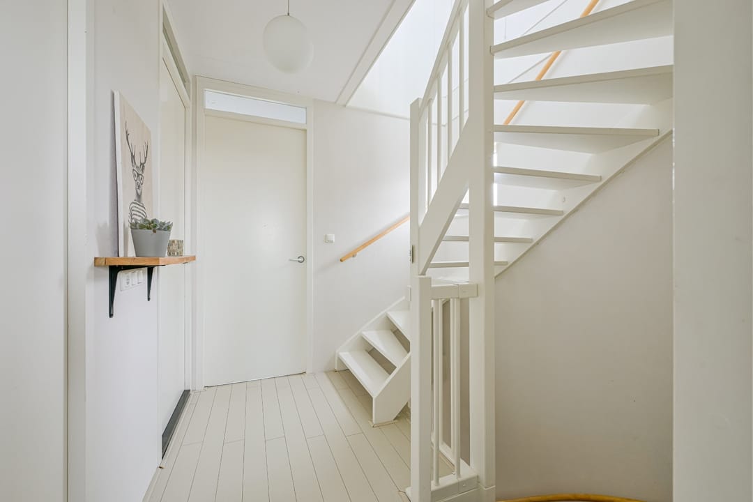 Foto 32 van Citroengras 17