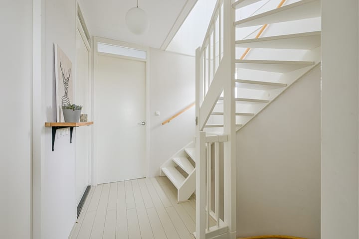 Foto 32 van Citroengras 17