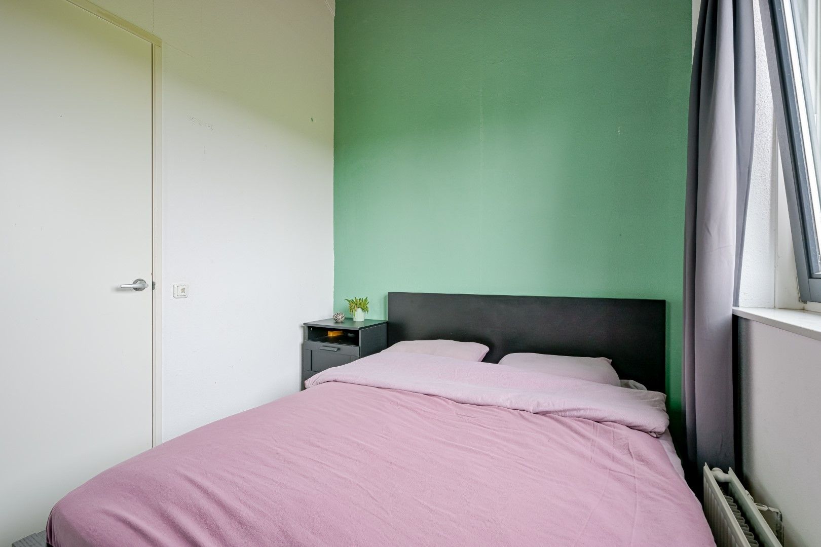 Foto 36 van Citroengras 17