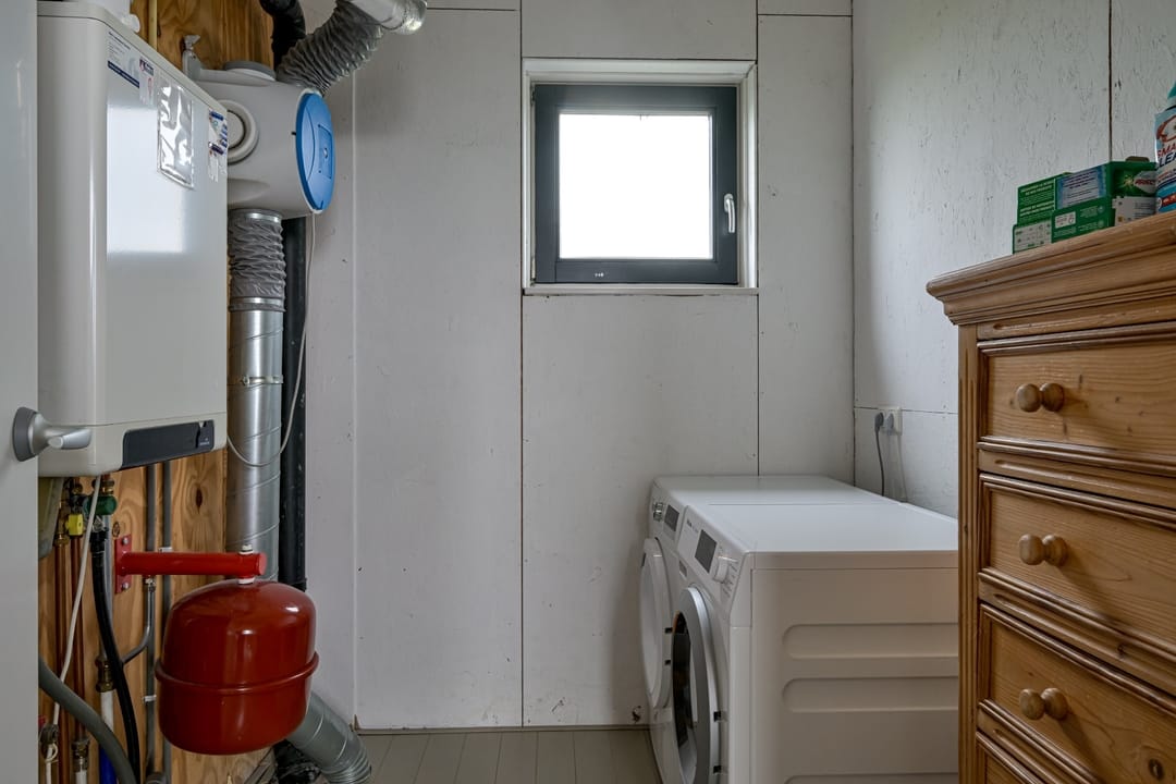 Foto 37 van Citroengras 17