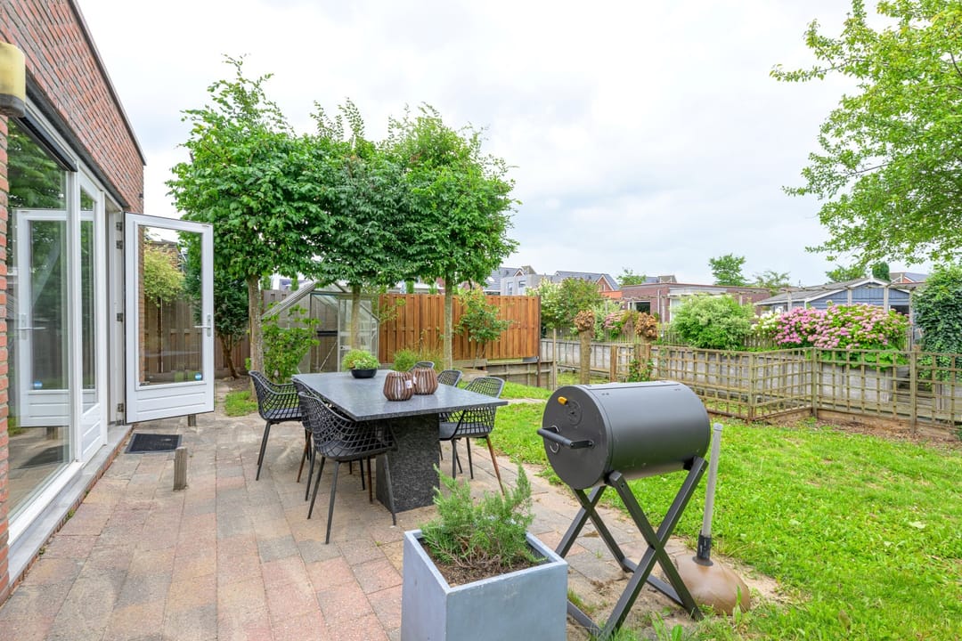 Foto 38 van Citroengras 17