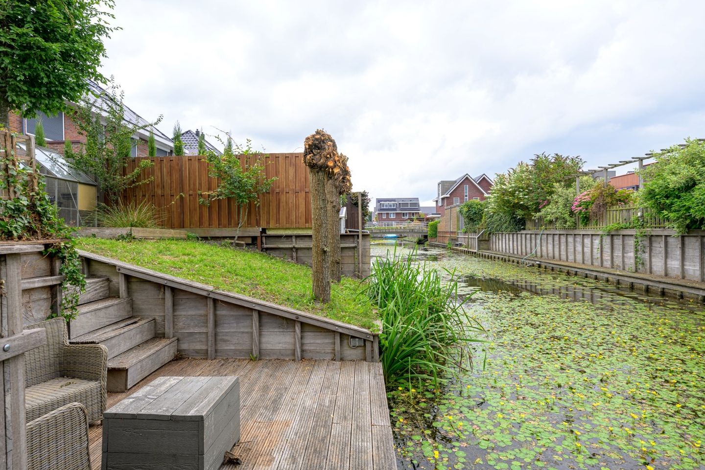 Foto 40 van Citroengras 17