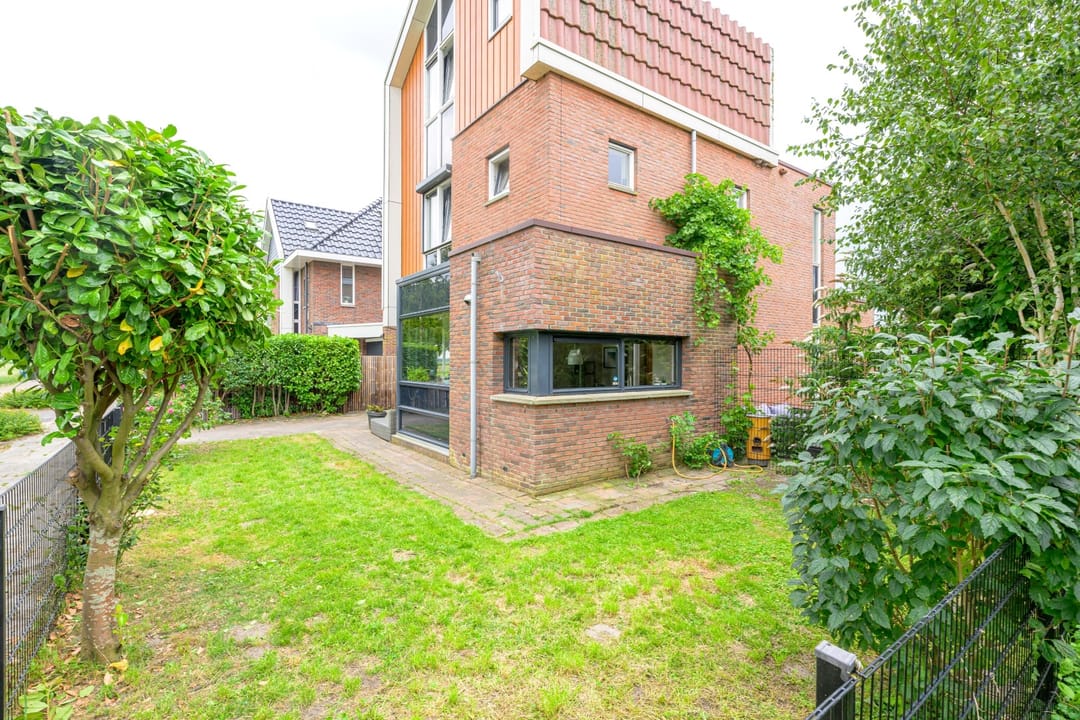 Foto 43 van Citroengras 17