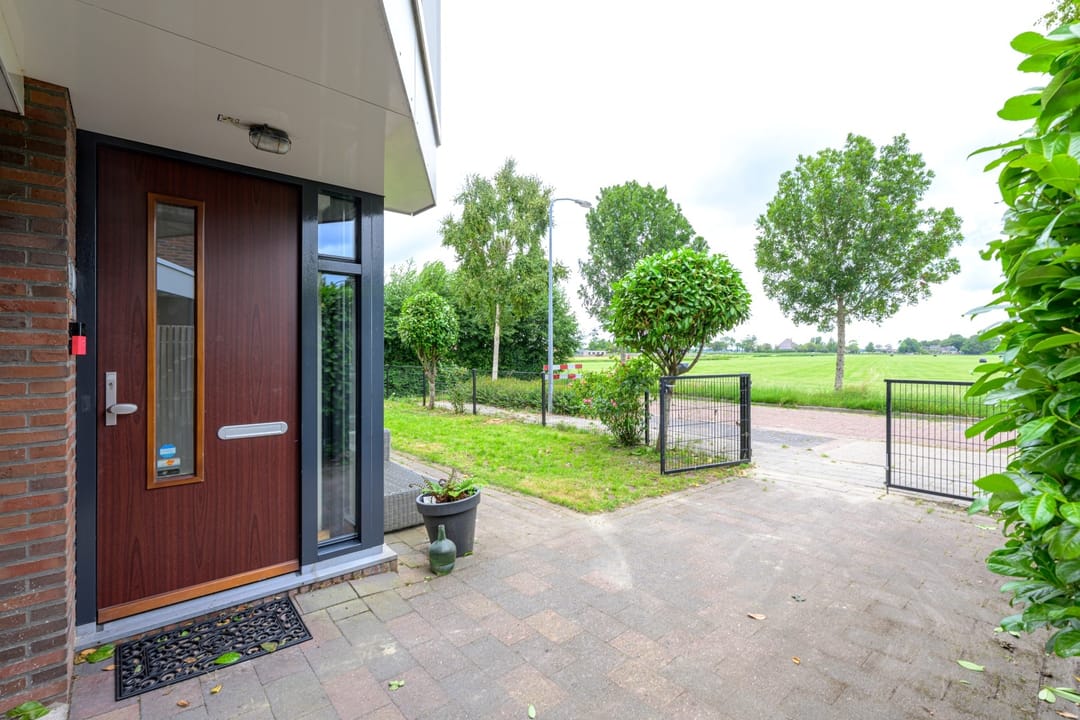 Foto 46 van Citroengras 17