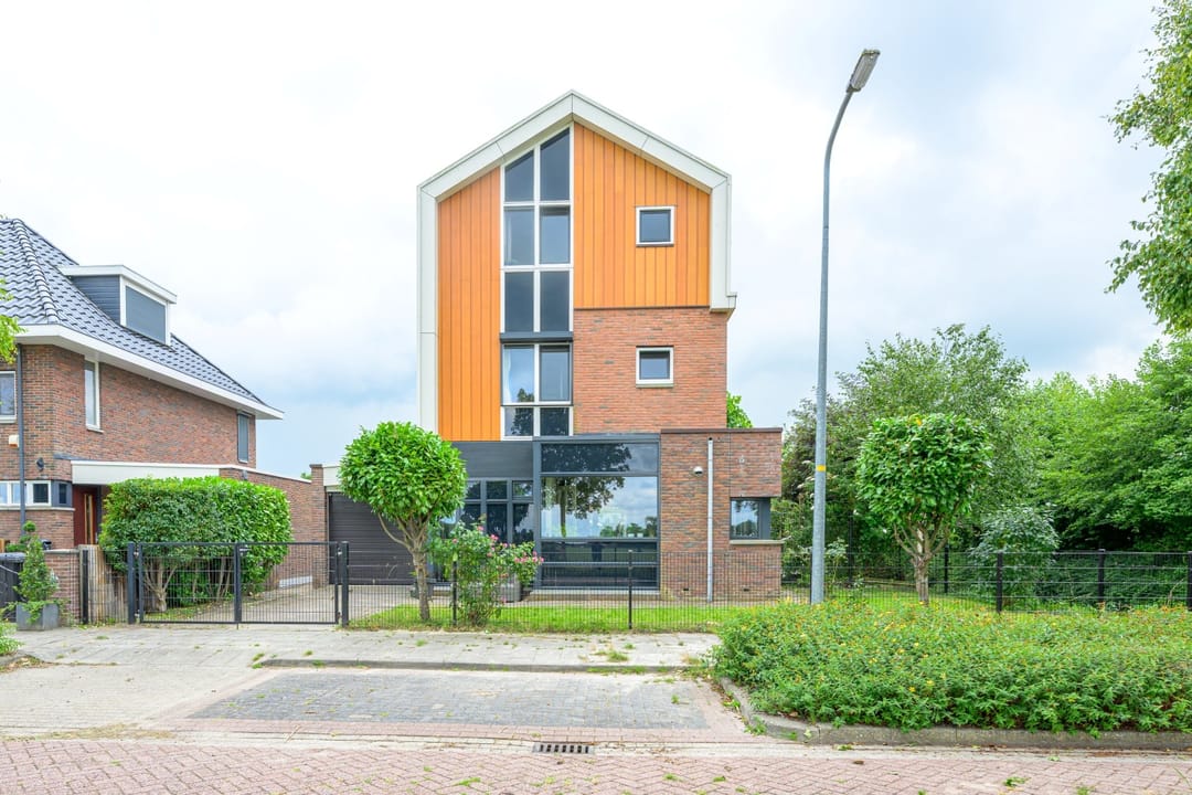 Foto 47 van Citroengras 17