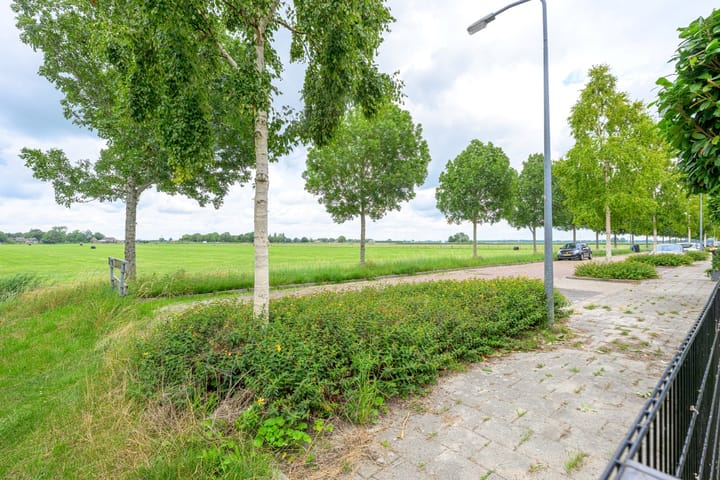 Foto 48 van Citroengras 17