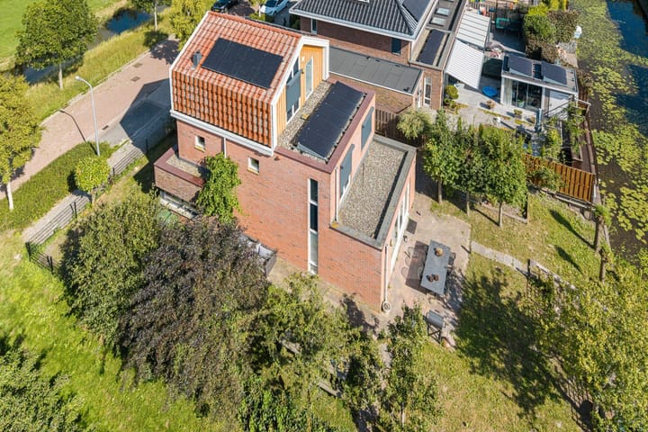 Foto 49 van Citroengras 17