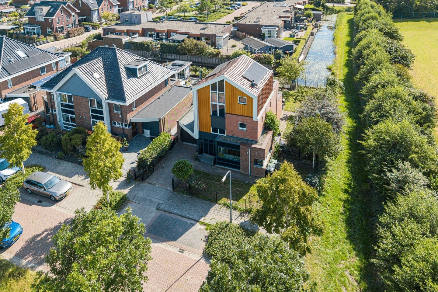 Foto 50 van Citroengras 17