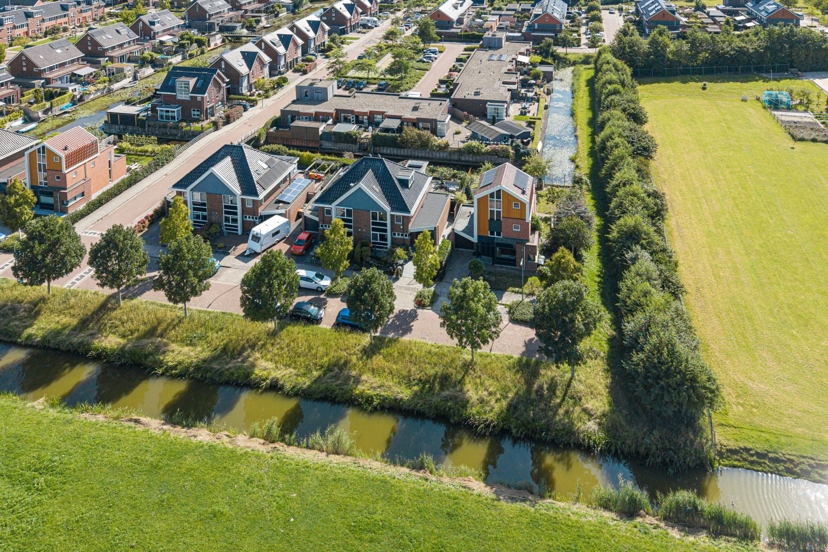 Foto 51 van Citroengras 17