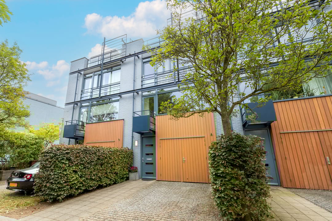 Foto 1 van Weerschijnvlinder 45