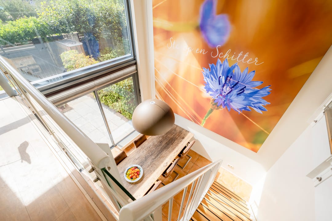 Foto 2 van Weerschijnvlinder 45