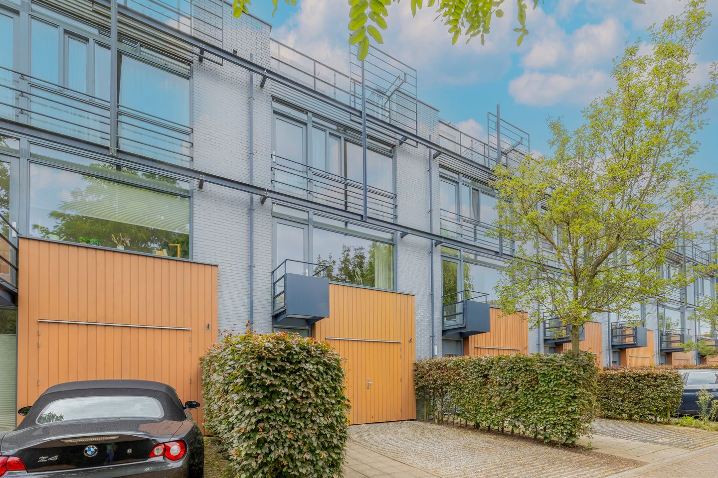 Foto 4 van Weerschijnvlinder 45